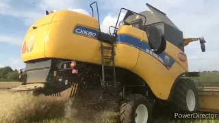 Żniwa Rzepaczane 2020! 🚜 New Holland CX5.80