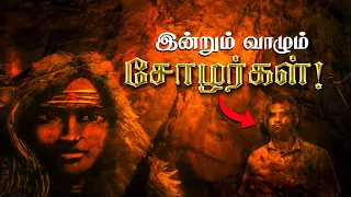 The Real Chola Family | இன்றும் வாழும் சோழர்கள்! 😲 ஆதாரங்களுடன்! Last Chola King History in Tamil