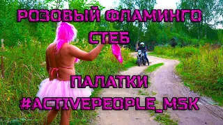 Палатки: Розовый Фламинго - Cream Soda &Алёна Свиридова пародия short / parody Pink flamingo