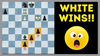 This Puzzle Just Blew My Mind - Insane Chess Problem