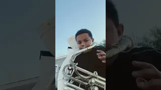 Sousaphone or tuba