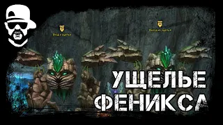 Краткий гайд на Ущелье Феникса [PVPclassic]