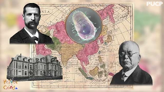 Historia de la ciencia: ¿Qué provocó la peste negra? - PUCP