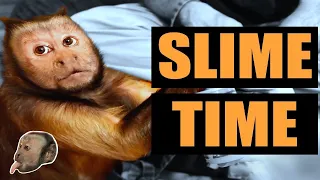 Monkey Slime Time!