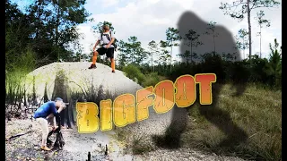 Bigfoot Hunt in the Woods