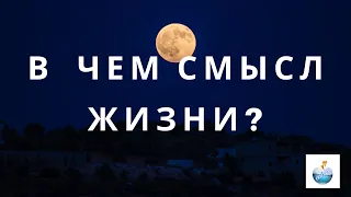 В чем смысл жизни если она одна