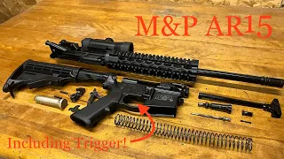 Smith & Wesson M&P AR15 disassembly and reassembly (including trigger)