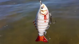 Multi Jointed Swimbait SB74 by LureCenter.com