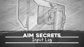 Aim Secrets: Input Lag