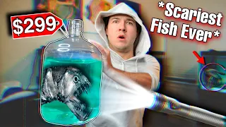 BUYING THE SCARIEST ANGLER FISH I'VE EVER OWNED...