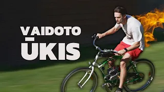 VAIDOTO ŪKIS - SIENOS IR PIRDA / 7