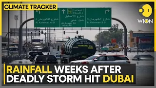 Dubai Rains: Heavy rains return to United Arab Emirates | WION Climate Tracker