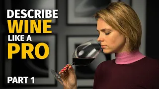 WINE TERMS: Describe Wine Like a PRO (Part 1)