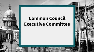 Common Council Executive Committee: Meeting of August 31, 2021