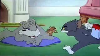 Tom and Jerry   Quiet Please   Tom and Jerry cartoon360p