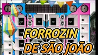 FORROZIN ATUALIZADO DE SÃO JOÃO 2024 / LUIZ PODEROSO CHEFÃO