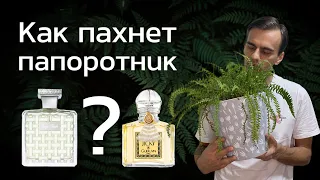 Что такое фужерные ароматы? История парфюмерного направления