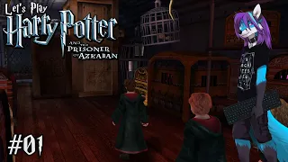 Let's Play Harry Potter und der Gefangene von Askaban (PC) 🧹01 - Eine holprige Zugfahrt