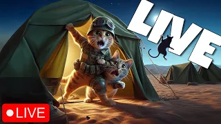 🔴LIVE DMZ - The Rats Are Out To Get Us