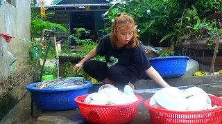 Busy life of a single mother : Wash dishes to earn money to raise children - Grow more vegetables