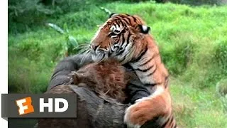 The Island of Dr. Moreau (5/12) Movie CLIP - Tiger vs. Tigerman (1977) HD