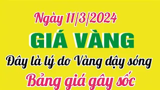 Giá vàng hôm nay 9999 ngày 11 tháng 3 năm 2024- GIÁ VÀNG MỚI NHẤT- Bảng giá vàng 24k 18k 14k 10k