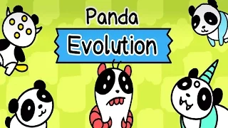 Panda Evolution [Android/iOS] Gameplay ᴴᴰ