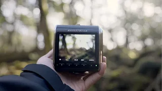 The most beautiful camera of the year!