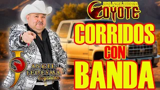 El Coyote Y Su Banda Tierra Santa | Puros Corridos Con Banda Para Pistear - Mix 20 Éxitos de Oro