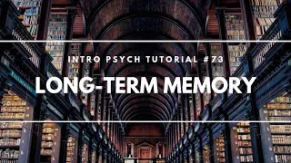 Long-Term Memory (Intro Psych Tutorial #73)