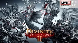 DIVINITY ORIGINAL SIN 2 [LIVE, FR] #20-21 | Combats, combats