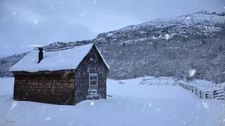 Snowstorm in the Mountain┇Howling Wind & Blowing Snow┇Nature Sounds for Sleep, Study & Relaxation