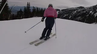 2019 Ski Test - Salomon QST 106