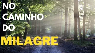 No Caminho do Milagre | Experiências com o câncer de minha esposa