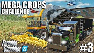 Maize Silage 🌽 HARVEST and LOAD with KRONE BUTCHER | MEGA CROPS Challenge | Farming Simulator 22