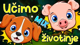 Učimo životinje MIX 💛 PESMICE ZA DECU ❤️️ Kako kažu životinje 💚 MIX pesmica za decu 2023 💜