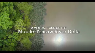 A Virtual Tour of the Mobile-Tensaw River Delta