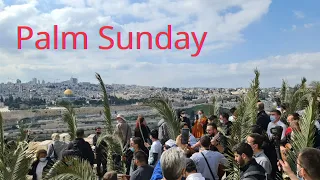 HAPPY PALM SUNDAY FROM JERUSALEM. This is how Palm Sunday is celebrated in Jerusalem.