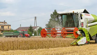 ☆Żniwa 2021 W Barwach Claas'a☆Pszenżyto☆Claas Tucano 320☆Zetor 5321 Super☆JCB 531-70