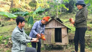 Journey to the mountain to give chickens to a lonely old man - This year laid many eggs