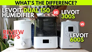 LEVOIT DUAL 150 HUMIDIFIER vs 300S vs LV600S: Which is BEST & How to CLEAN!