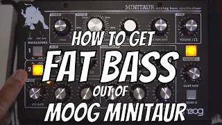 How to Get Fat Bass out of Your Moog Minitaur