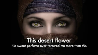 Sting   Desert Rose Lyrics Feat  Cheb Mami Including Arabic parts