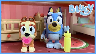 Bluey - BABY Bingo! | DISNEY JR - BLUEY AND BABY BINGO Toys