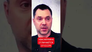 Алексей Арестович сравнил современную Украину с СССР: что общего и в чем различия