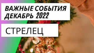 ♐️СТРЕЛЕЦ. Таро-прогноз от Серафимы на декабрь 2022💯❤️💕🌼