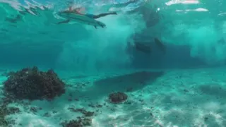 360 VR Video - Diving in Teahupo'o Tahiti