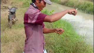 Oh ternyata ikan ini penghuni air keruh😱