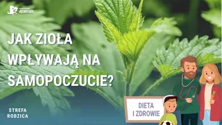 Zioła - zastosowanie i działanie  | Strefa rodzica