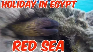 Holiday in Egypt Hurghada  Red Sea underwater, Test GoPro HERO4 Video HD #6day